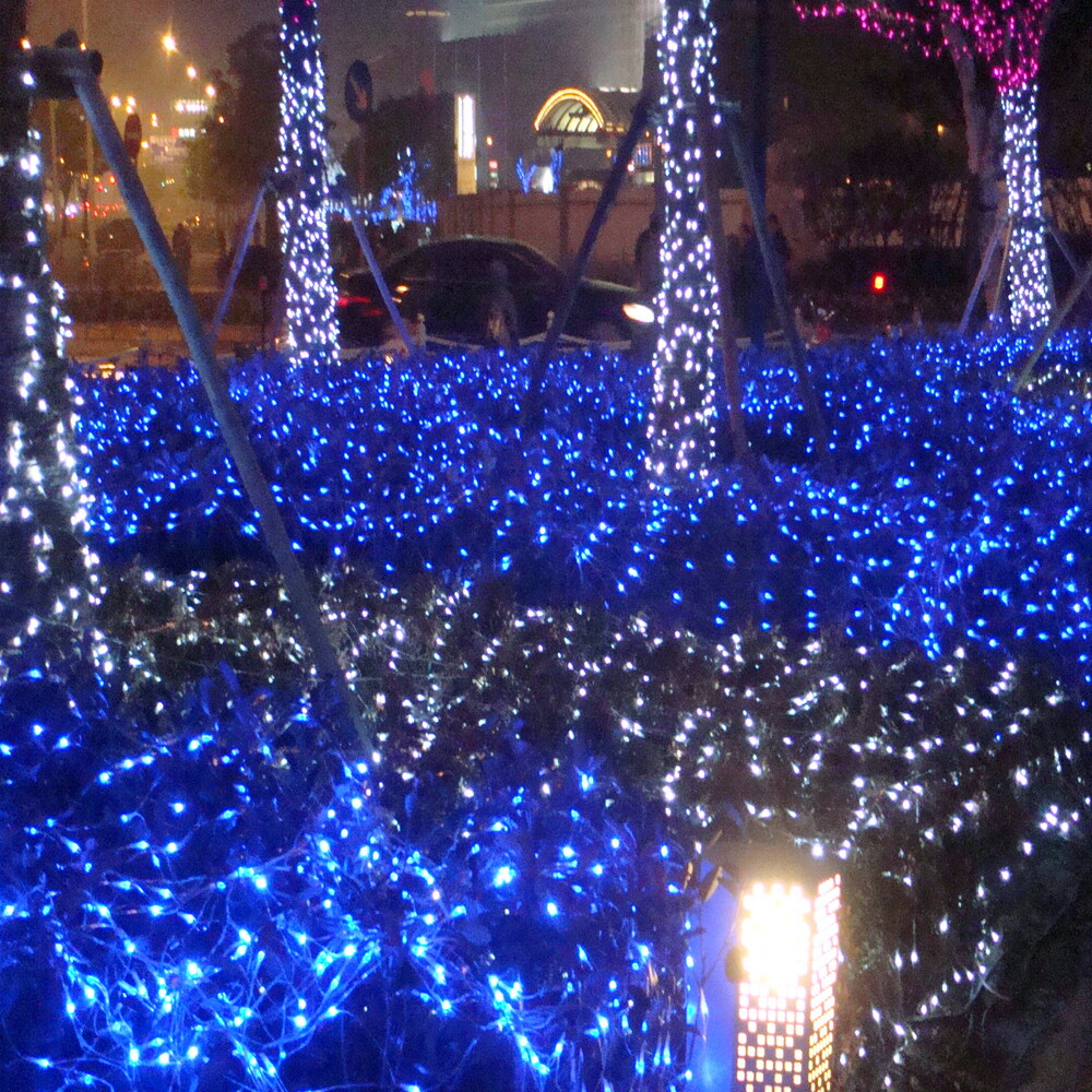 網燈實景圖1111.jpg 網燈實景圖1111.jpg