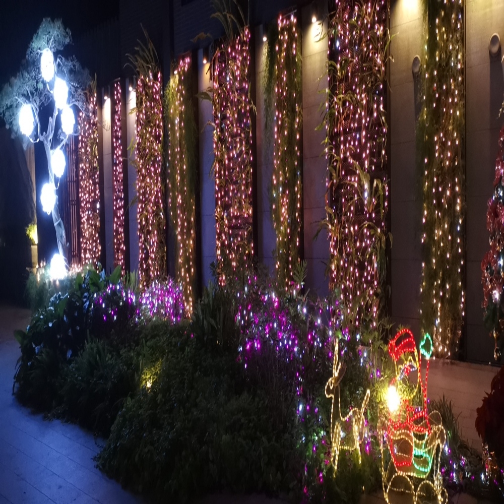 串燈 聖誕造型 實景圖 1011.jpg 串燈 聖誕造型 實景圖 1011.jpg