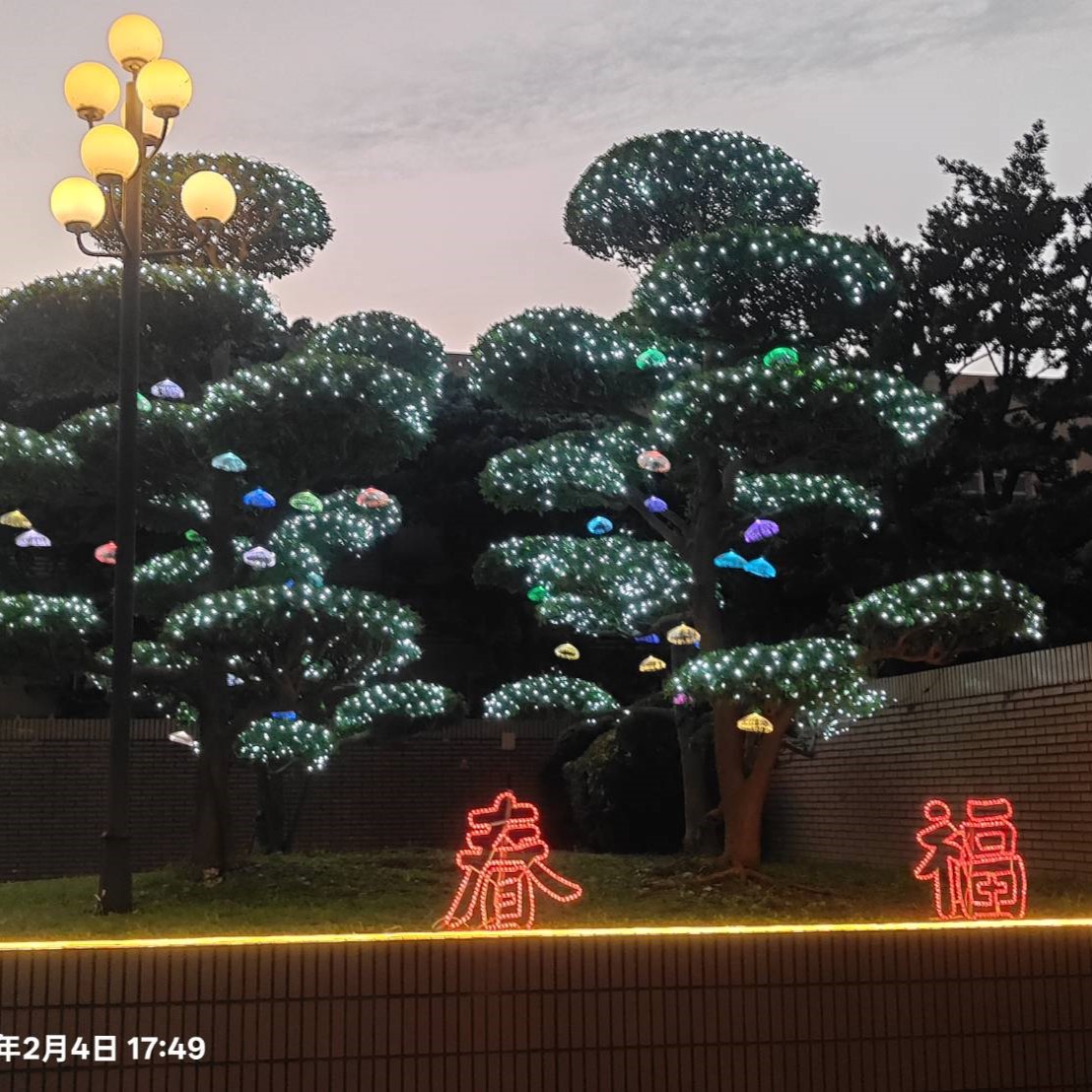 新鑽石大廈 水母燈 網燈 造型實景圖.jpg