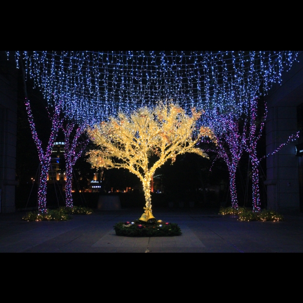 聖誕燈 串燈 暖白 實景圖