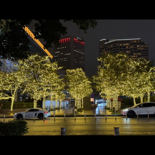 聖誕燈 串燈 暖白 實景圖