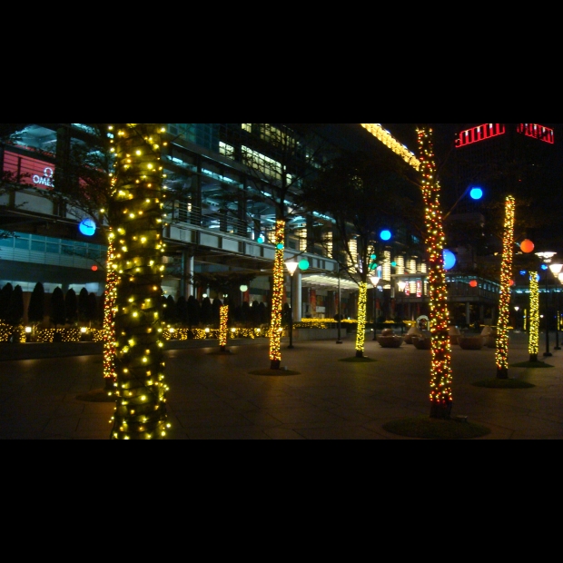 聖誕燈 串燈 暖白 實景圖