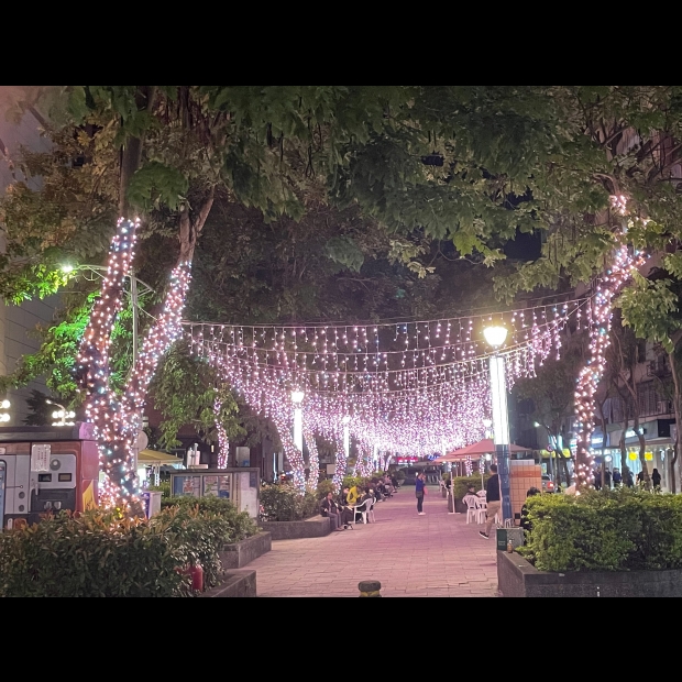 聖誕燈 串燈玫瑰金 閃白 實景圖