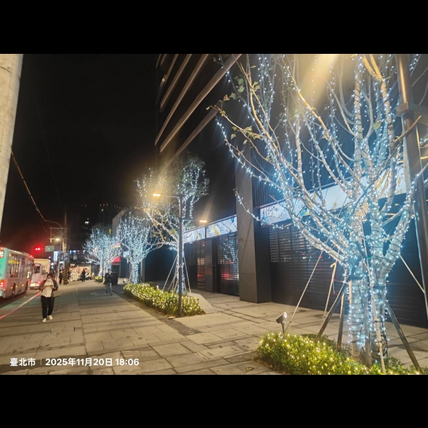 聖誕燈 串燈 白光實景圖