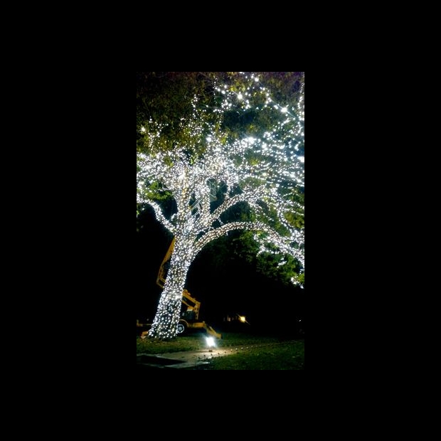 聖誕燈 串燈 白光實景圖