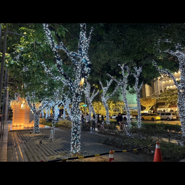 聖誕燈 串燈 白光實景圖