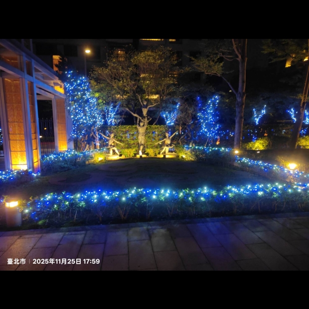 聖誕燈 串燈 藍白實景圖