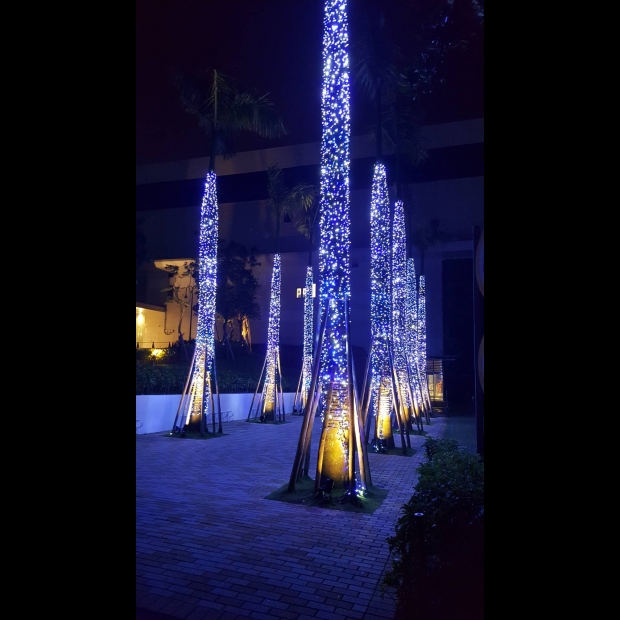 聖誕燈 串燈 藍白實景圖