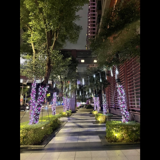 聖誕燈 串燈 粉白光實景圖