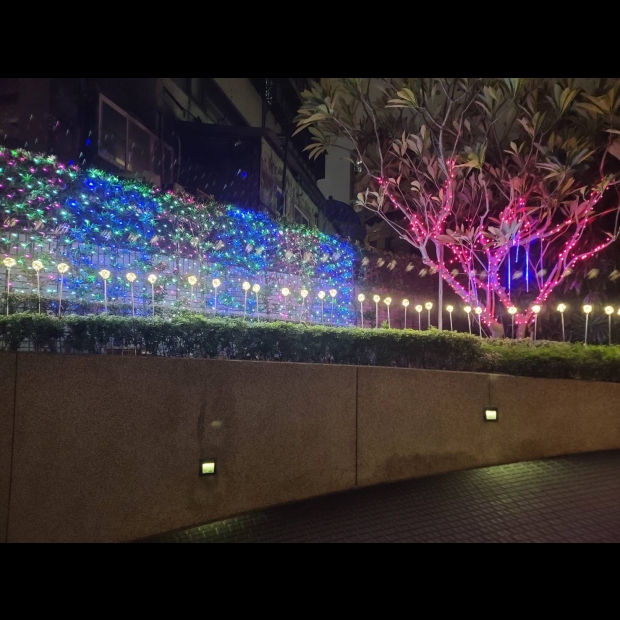 聖誕燈 串燈 粉紅實景圖