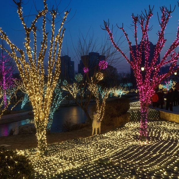 聖誕燈 串燈 粉紅實景圖
