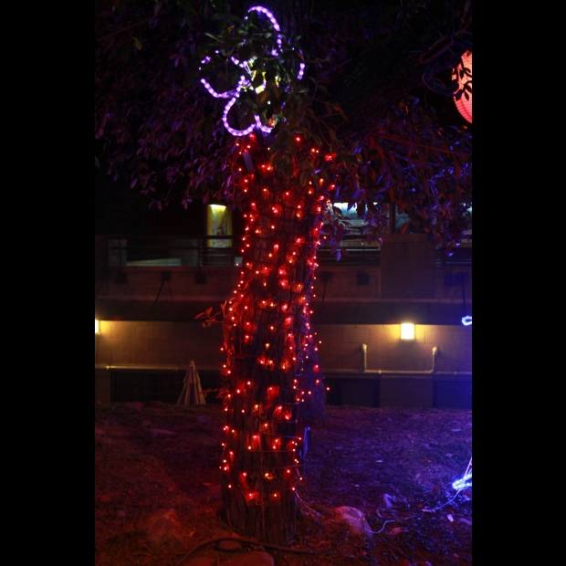 聖誕燈 紅光串燈實景圖