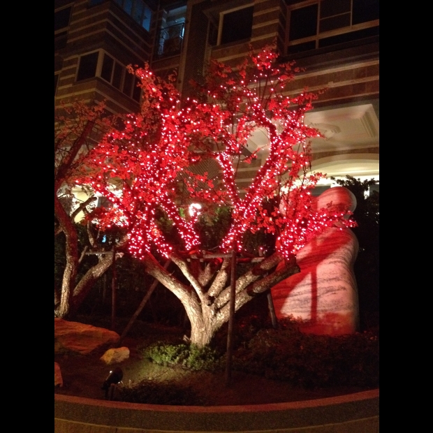 聖誕燈 紅光串燈實景圖