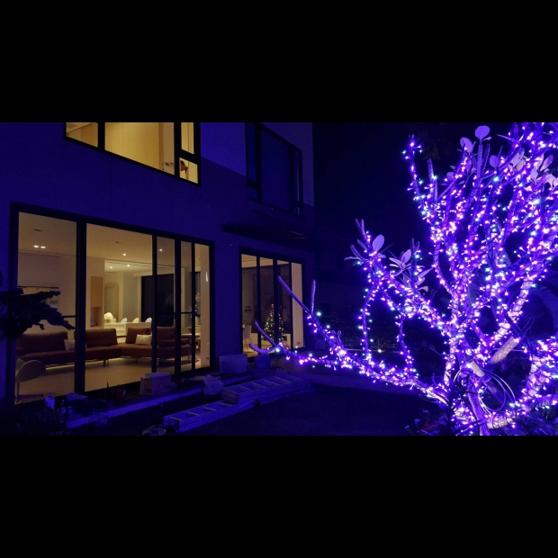 聖誕燈 串燈 紫光 實景圖