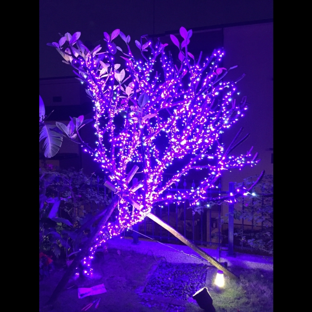 聖誕燈 串燈 紫光 實景圖