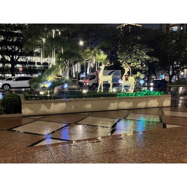 聖誕燈 水晶鹿流星燈實景圖