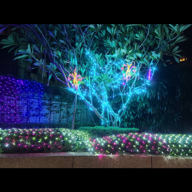 聖誕燈 湖水藍串燈蝴蝶造實景圖