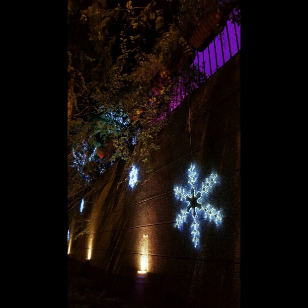 聖誕燈 雪花造型實景圖