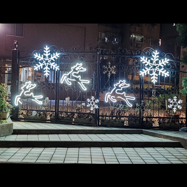 聖誕燈 雪花跳鹿造型實景圖
