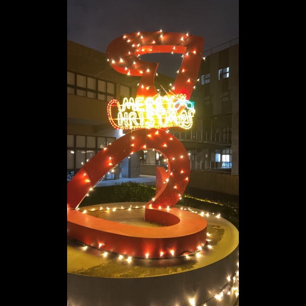 聖誕燈 Merry Christmas造型實景圖