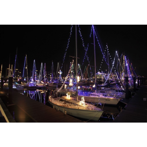 聖誕燈 串燈 小鹿造型實景圖