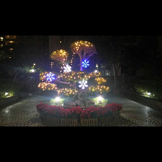 聖誕燈 冰燈造型 藍白四雪花實景圖