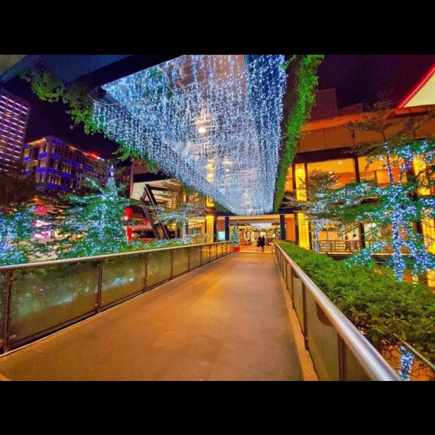 聖誕燈 冰燈 白光實景圖