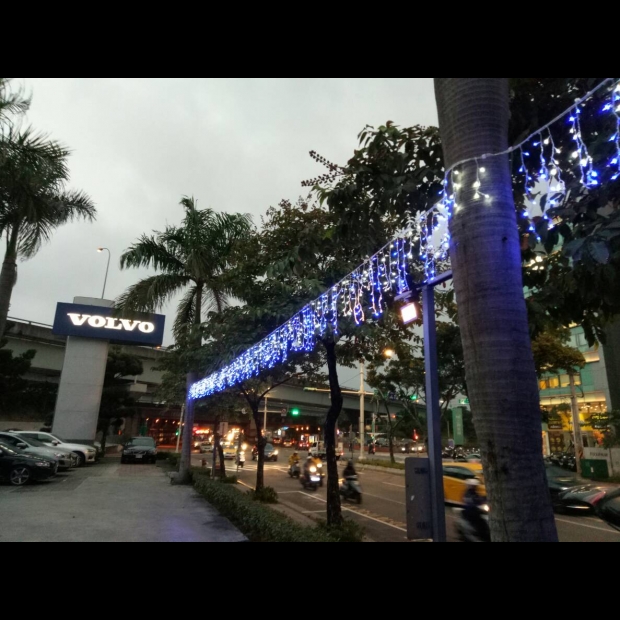 聖誕燈 冰燈 藍白實景圖