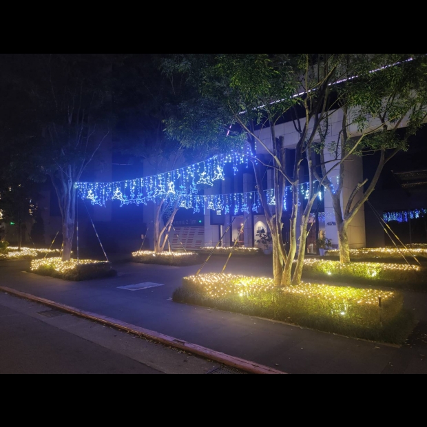 聖誕燈 冰燈 藍白實景圖