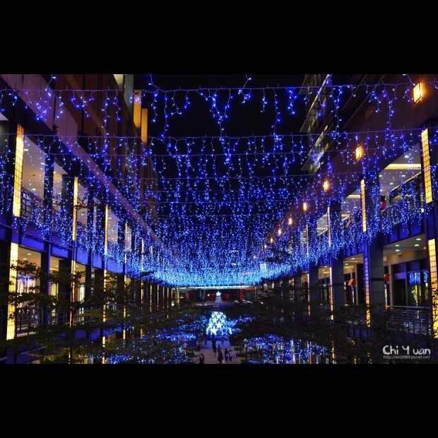 聖誕燈 冰燈 藍光實景圖