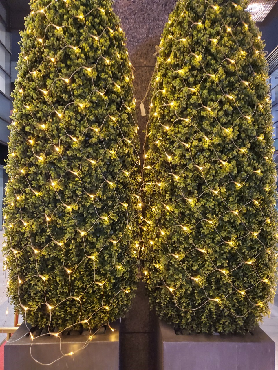 聖誕燈 暖白網燈實景圖