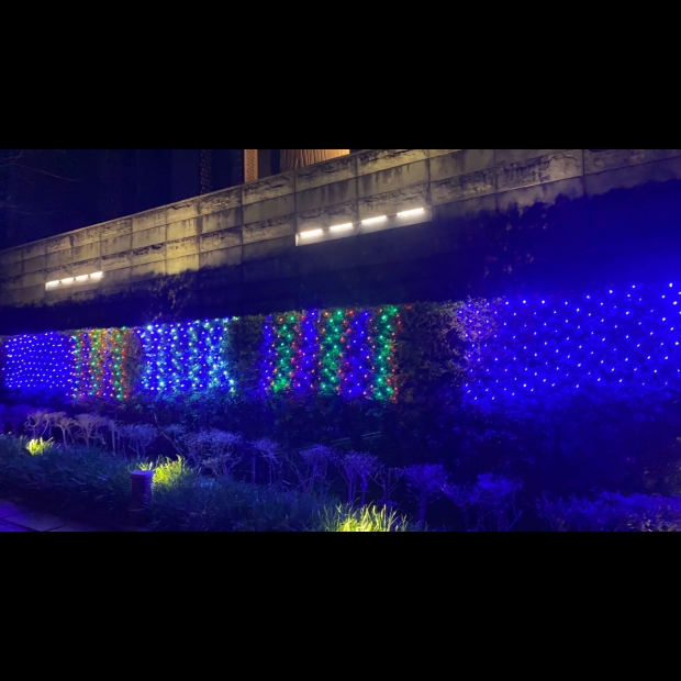 聖誕燈 彩色 紫色 藍白網燈實景圖