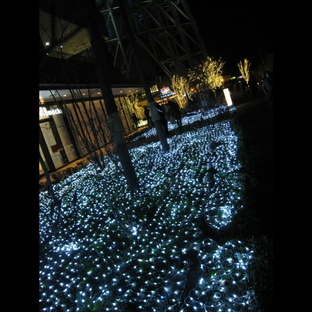 聖誕燈 網燈 白光實景圖