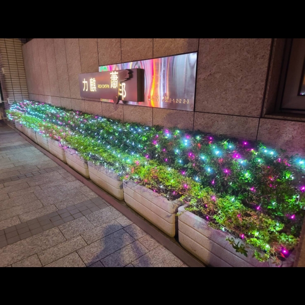 聖誕燈 網燈 粉白實景圖