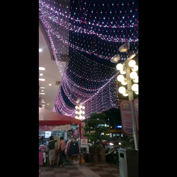 聖誕燈 網燈 粉白實景圖