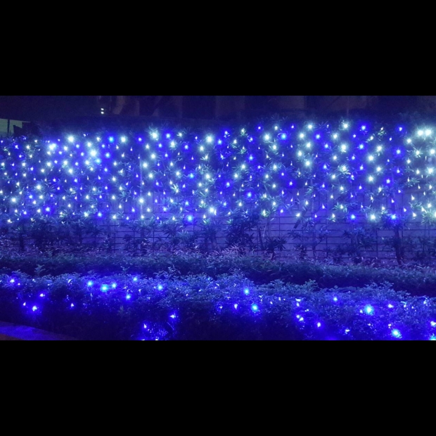 聖誕燈 網燈 藍白實景圖