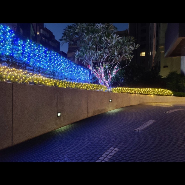 聖誕燈 網燈 藍白實景圖