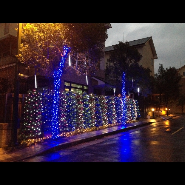 聖誕燈 網燈 粉白實景圖