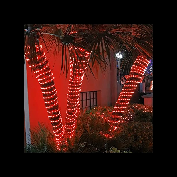 聖誕燈 水管燈 紅光實景圖