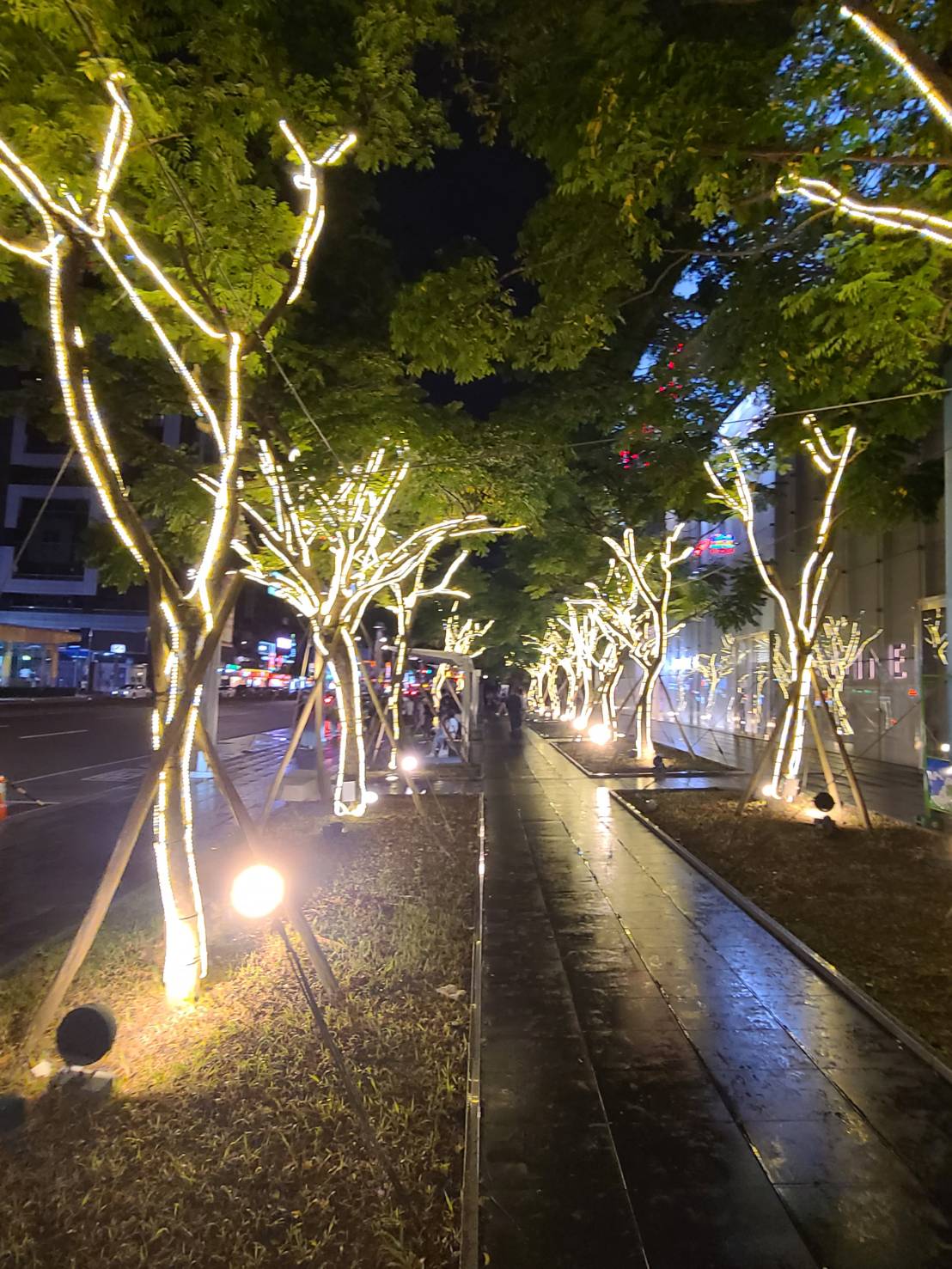 聖誕燈 水管燈 暖白光實景圖