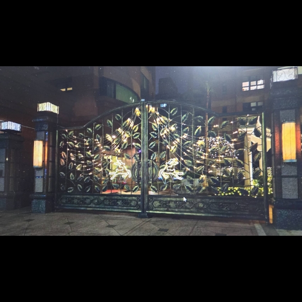 聖誕燈 流水燈 實景圖