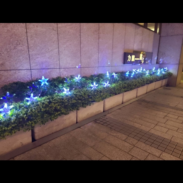 聖誕燈 3D星星樹頂插土燈 實景圖 