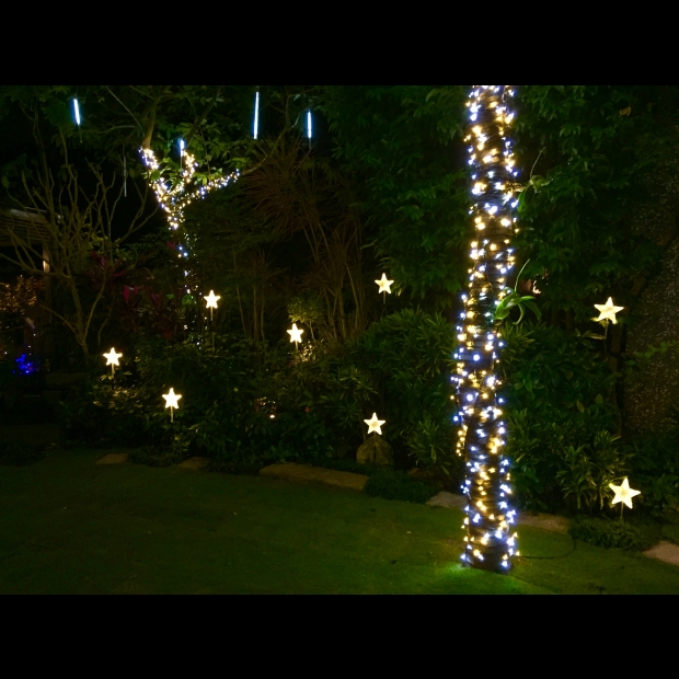 聖誕燈 3D星星樹頂插土燈 實景圖 