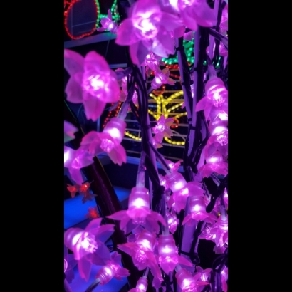 櫻花串燈3.jpg