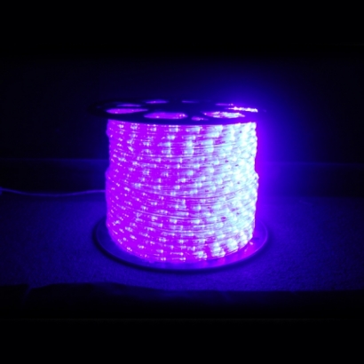 水管燈紫光.JPG