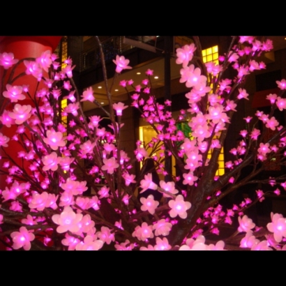 櫻花樹燈實景圖.JPG