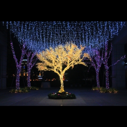 聖誕燈 串燈 暖白 實景圖