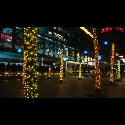 聖誕燈 串燈 暖白 實景圖