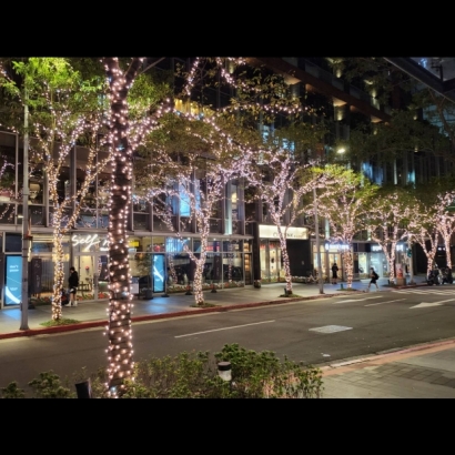 聖誕燈 串燈玫瑰金 閃白 實景圖