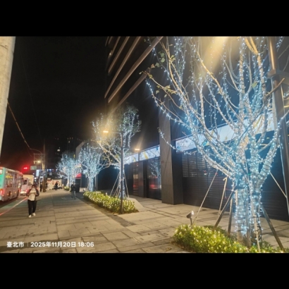 聖誕燈 串燈 白光實景圖